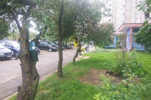 В Минске тоже байкшеринг появился... у нас не сбрасывают в воду, не снимают сиденья.... пока..........
