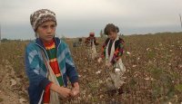 Уважаемые совкодрочеры! Не забывайте, что фотографии прошли жёсткую цензуру (иначе они не были бы опубликованы), поэтому все фото похожи друг на друга и, мягко говоря, не совсем соответствуют действительности (смотри фото из Северной Кореи). 
В качестве примера, дети на уборке хлопка в одной из среднеазиатских республик: