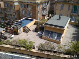 На крыше дома твоего... Подсмотрено