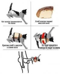 Прикольные и смешные картинки