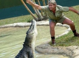 ... непременно нужно охранять природу и заботиться о многообразии видов, но не нужно пытаться с дикой природой общаться  на ты!!!!! Берберовых разорвал их питомец, Стив Ирвин умер от удара ската в сердце, таких примеров сотни. Что касается гепардов, это не совсем кошки и они скорее ближе к собакам. Легко приручаются и еще никого не убили :)