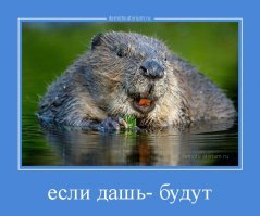 Теплые и очень добрые фотографии