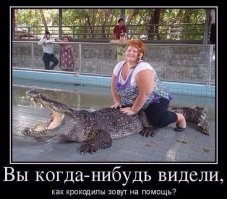 Скрины из социальных сетей