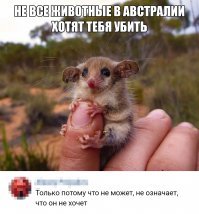 60 причин, почему стоит отказаться от поездки в Австралию