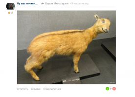 Молитва по прайсу