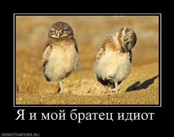 Парень троллит свою младшую сестру, забирая её из школы под музыкальные хиты из 2000-х
