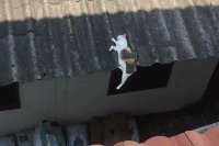 Вот же ж лентяюга! )))