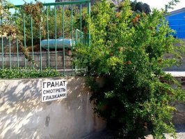 Трогать ручками, кушать ротиком. (С) Ваш Капитанчик!