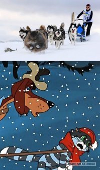 Кто умнее — кошки или собаки?