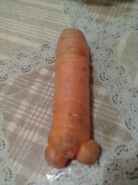 8 лет назад купил вот эту морковку,которая тоже притворяется)