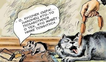 Путин одобрил новый семейный налог в России