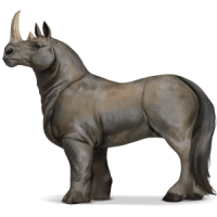 Вы знаете с какой скоростью бегают носороги ? 55 км.час. 
Современная лошадь  88 км.час.