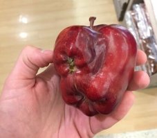 Это же Куато!

Опен ё майнд!