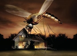 Чем питалась меганевра