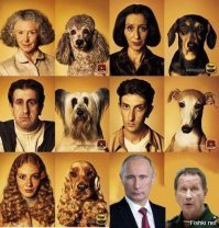 Одно лицо: хозяева, которые очень похожи на своих питомцев
