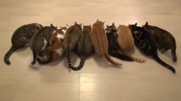 Вот котельная