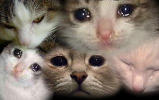 ...маааааалинькый!..