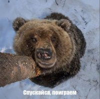Привет, сосед! Я к тебе в гости