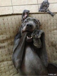 Девушки могут. Самые идиотские фотографии, которые только видел интернет