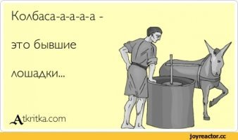 Почему загнанную лошадь убивают?