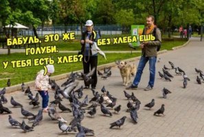 Анти-дарвин. Теория деградации