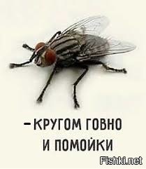 Критика ЕР допускается