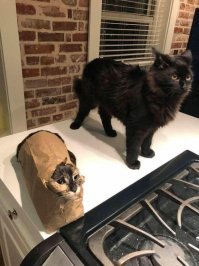 Лучший хлеб в галактики!