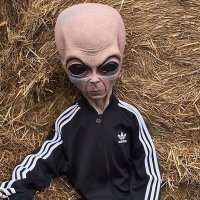 Это все запросы директора REN-TV