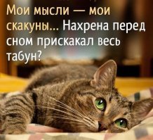 5 минут этой чуши и голова пустая и ясная, и нет никаких мыслей - вообще