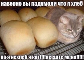 30 несъедобных, но аппетитно выглядящих вещей