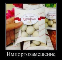 Импортозамещение по-русски, или слабоумие и отвага наших современников