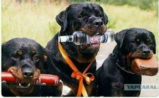 Алкопост на вечер этой пятницы