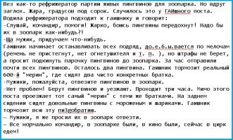 В Новой Зеландии полиция "задержала" двух пингвинов, которые забрели в суши-бар