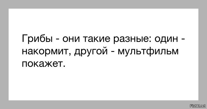 Съедобное или несъедобное: какие грибы и ягоды можно собирать в лесу без последствий