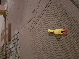 Снимок конечно же не претендует на легендарность, но тем не менее...