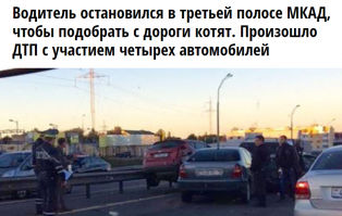 Остановиться на мосту, что строго запрещено в ПДД, чтобы спасти котёнка, при этом рискуя жизнями людей... Куда кактится этот мир? Всё как кино: спасают котиков и собачек, а люди дохнут пачкам- бабы же ещё нарожают, йопт