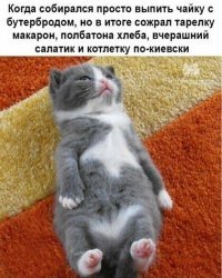 Я извиняюсь, а у всех дома в холодильнике лежит котлета по-киевски?