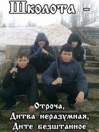 Прикольные и смешные картинки