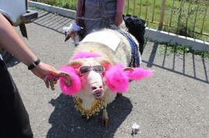 а дальше было так:
-первое свидание
-поездка к родителям жениха