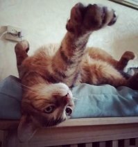 С добрым утром!