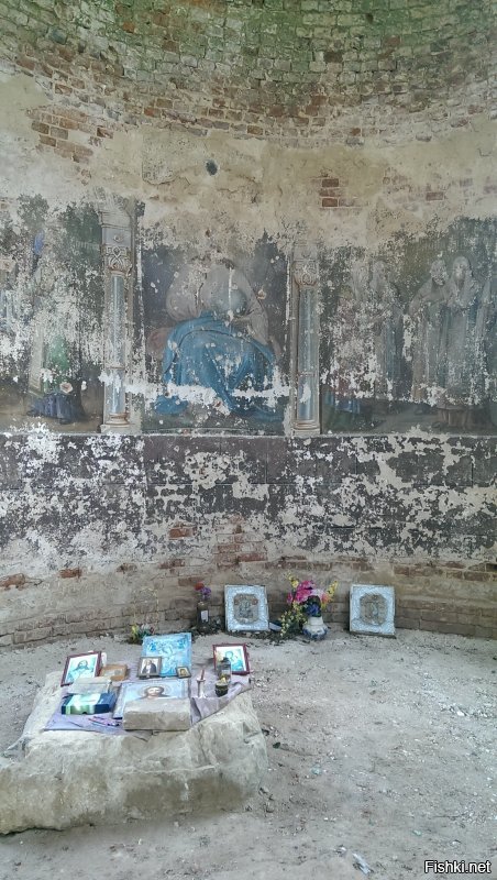 Мои 5 копеек (Тверская обл.):