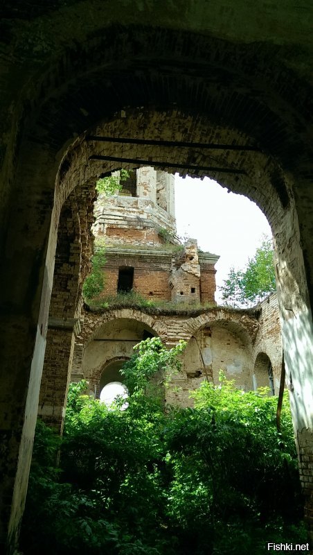 Мои 5 копеек (Тверская обл.):