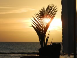 Не, я больше Мадагаскар люблю.