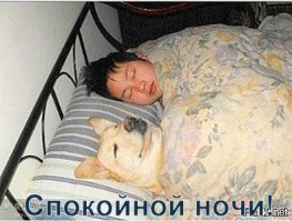 20 проказников, терпению родителей которых можно позавидовать