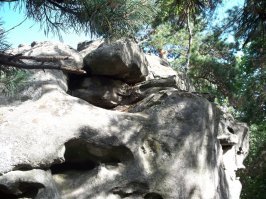 Окрестности Сызрани.