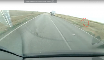 Это водятел микробуса пошел в поле посссссмотреть на кувшинки?