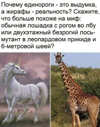 где ты тут с.ка безрогого увидел?