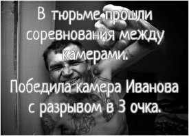 Двустишия о жизни и не только