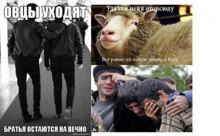А потом кавказцы удивляются, почему это их не любят