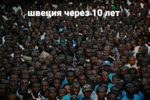 Согласуй или не суй